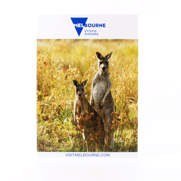 Is Foamex Board Waterproof ?