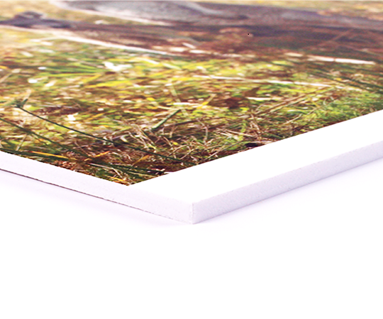 What are the Pros and Cons of Foamex